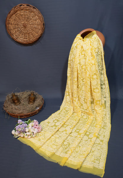 The Chikankari Story Elegant Chikankari Hand Embroidered Georgette Saree with Bakhiya Work – 5.4 Meter Saree with 0.9 Meter Blouse Piece Full Body Embrodery.