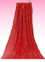 Chikankari Georgette red saree with matching blouse piece attached Tepchi Work Multi thread